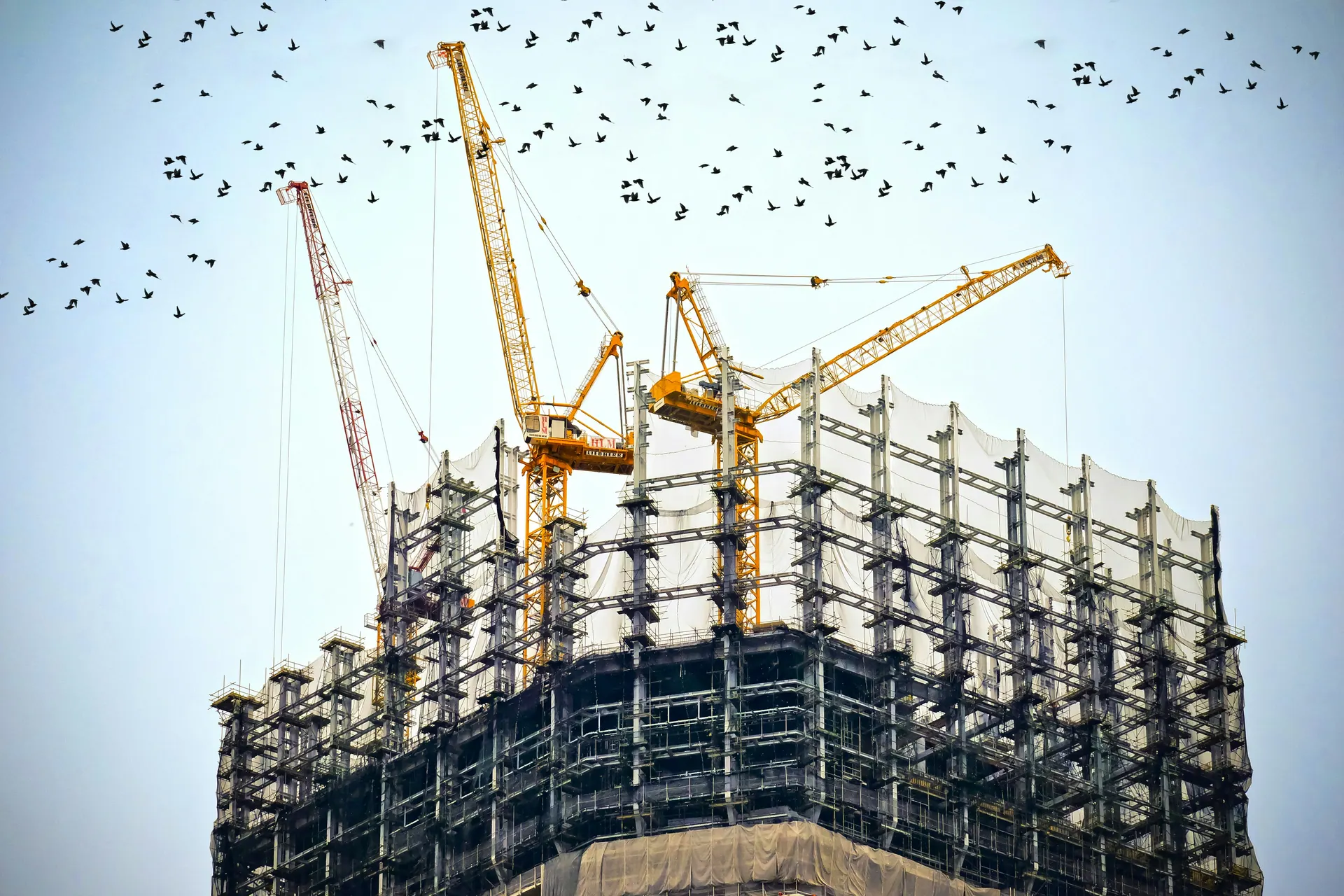 Civil & Structural Construction